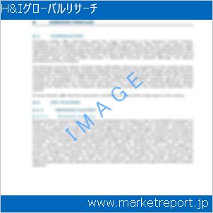 市場と産業調査レポートのイメージ